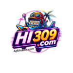 HI309 Game